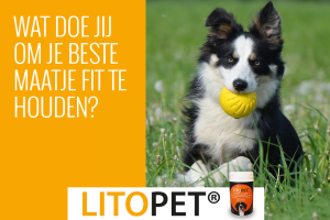 LitoPet voor je maatje